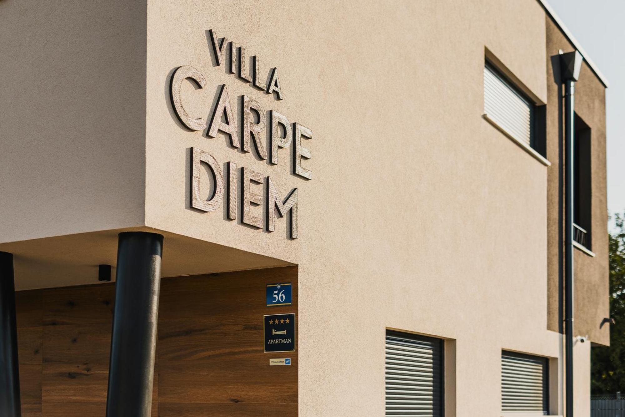 Villa Carpe Diem Cepljani Экстерьер фото